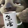 一起买更精彩👀