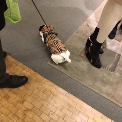 花啦啦