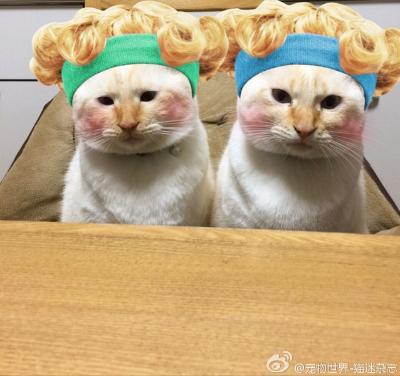 这是一个小号🎺
