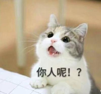 少女小白