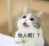 少女小白