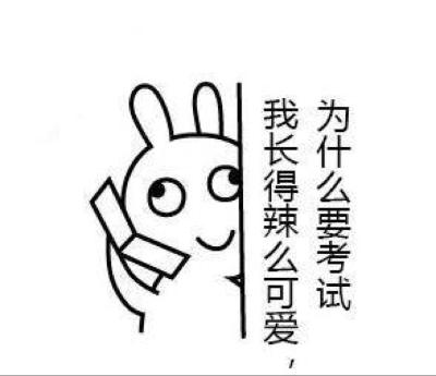 乖乖的alice