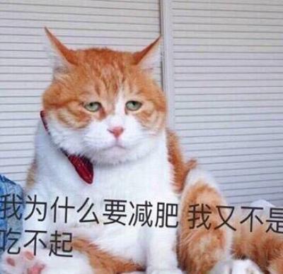 胖纸也爱美