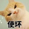 一嘻嘻嘻嘻嘻