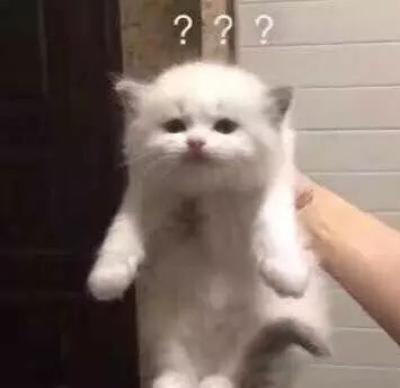 小二黑袭来 🙊