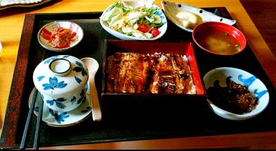 鼠兔