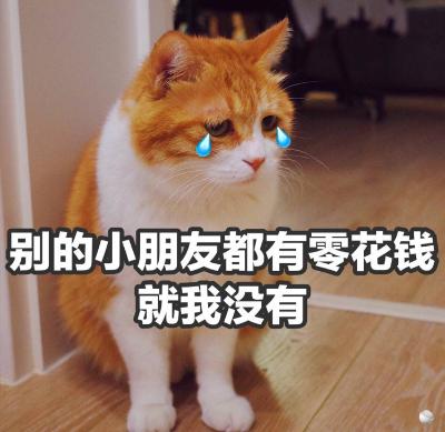 ( ･᷄ὢ･᷅ )