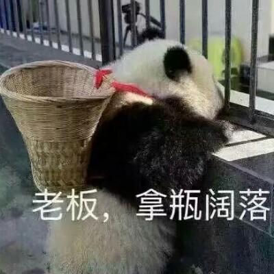 小海