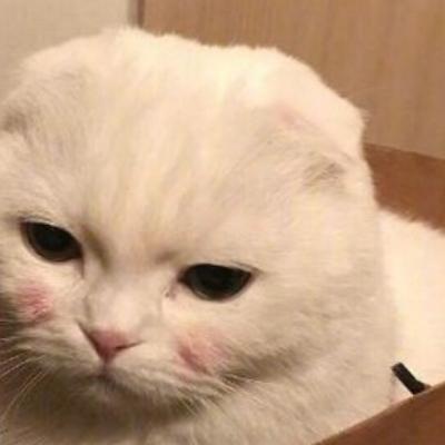 fff