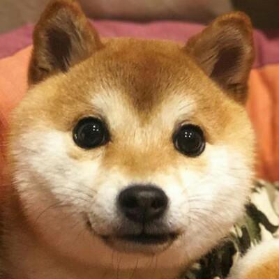 汤圆丸子
