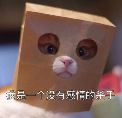 温小迟
