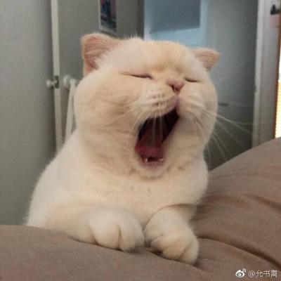 🌿穆如是🌿