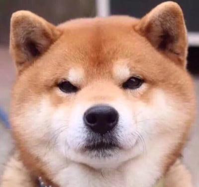 恋恋花开