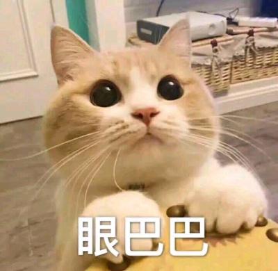 南瓜🎃酱