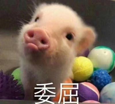 油条大使