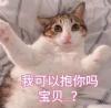 重生之我在巴黎薅羊毛