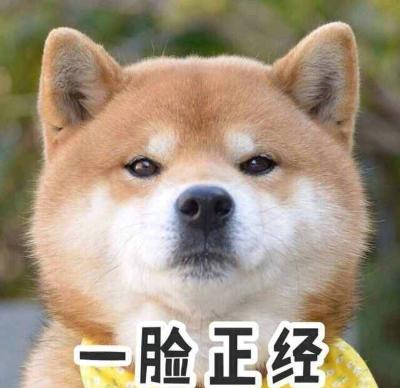 Fan木木