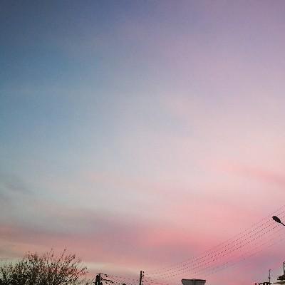 粒粒橙