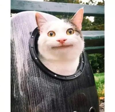 D.