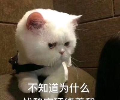 小胖子就是我啦
