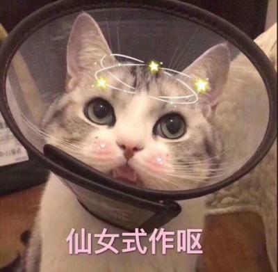 今天17未成年
