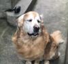 入了一分钱的坑