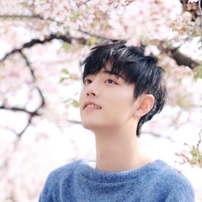 坚果小可爱