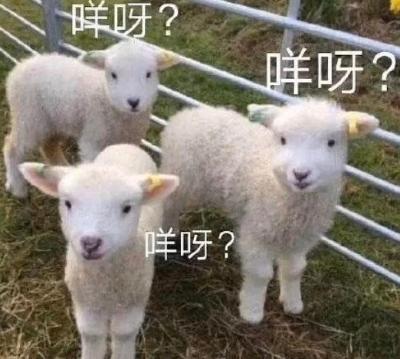 是咩咩呀