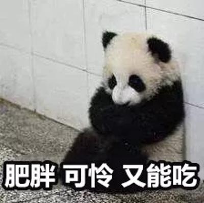 麻酱乱跑
