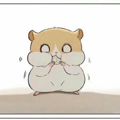 红鲤鱼与绿鲤鱼∝