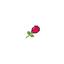 LIN。