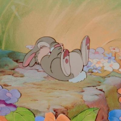 🐰Thumper🐰