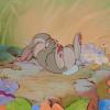 🐰Thumper🐰