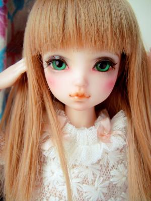 cloverchobits