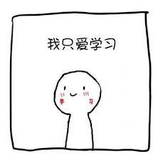 我只爱学习，但学习不爱我