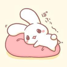 兔兔就爱吃菜菜