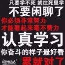 小猪咪是猪不是咪