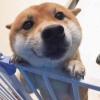 黄二爷