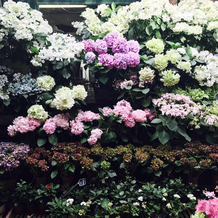 X.m🌸