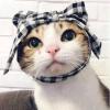 MЯ.Charlotte🐈💕