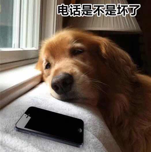栓妹