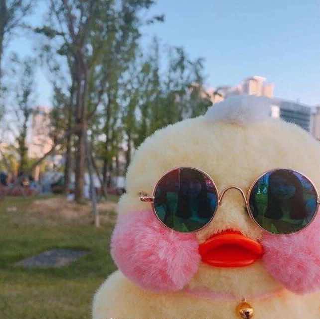 啵啵芋泥