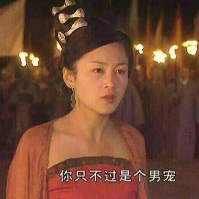 🌾qiqi