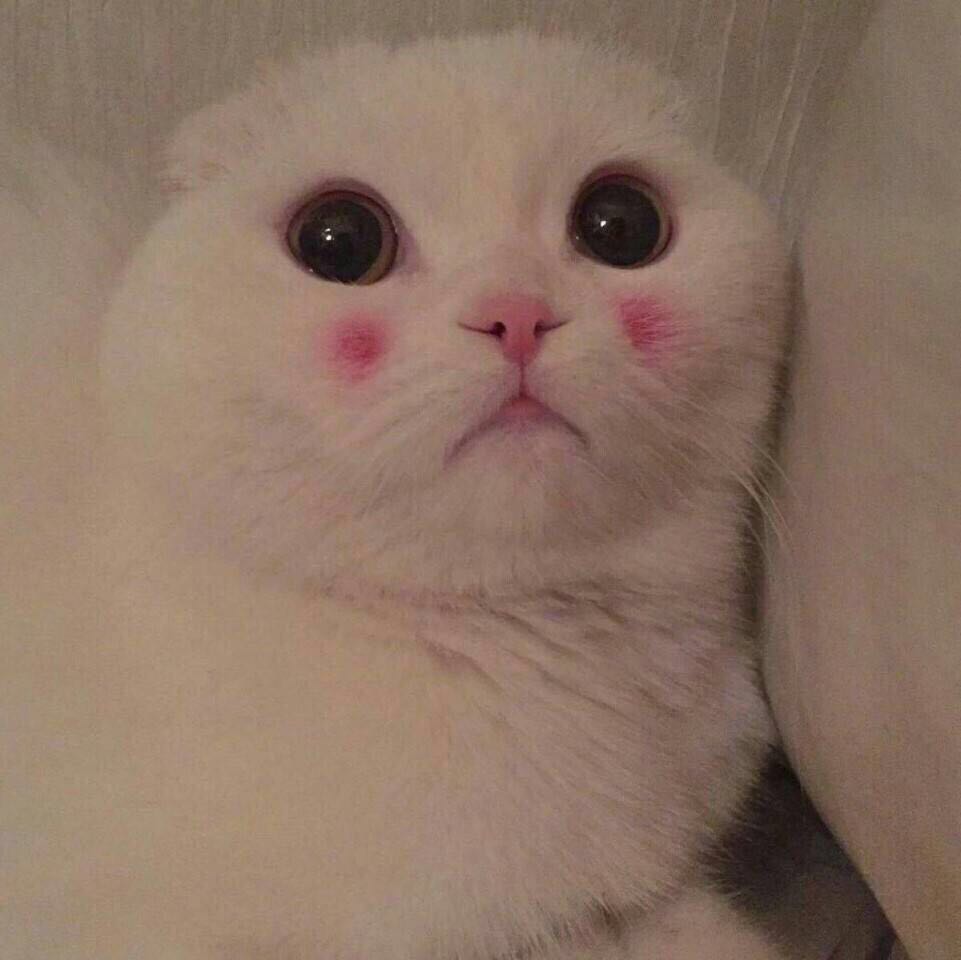 Simonjkjj