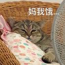 callme样样了啦