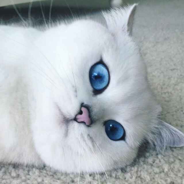 εïз