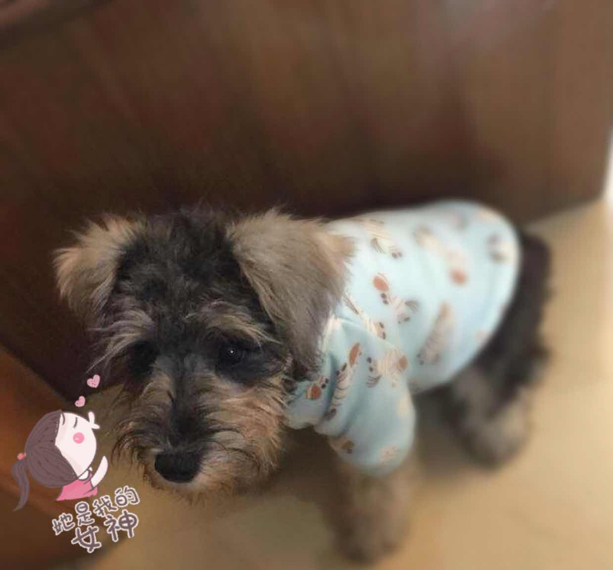 Amy小梦