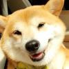 五香花生米