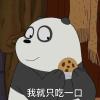 猫铛叮