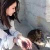 pfy-